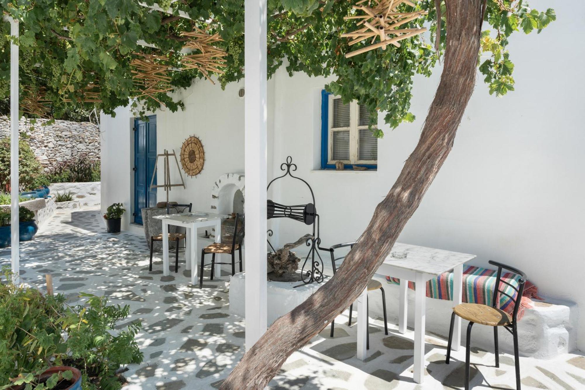 Apartment Politimis N2 *